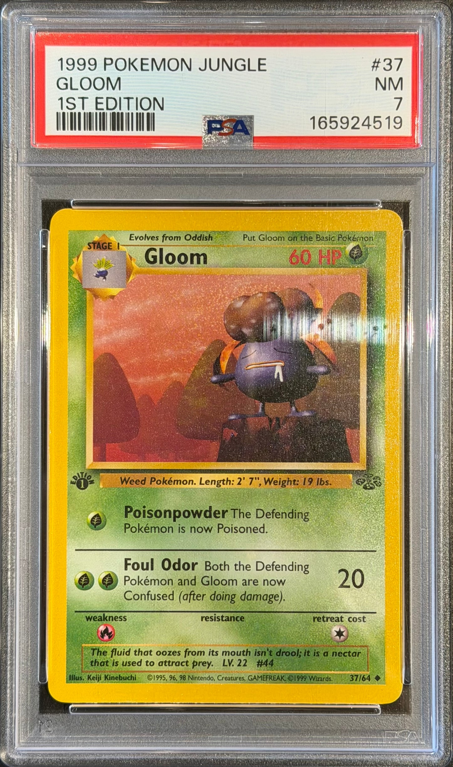 Gloom 1ST Edition 37/64 PSA 7 1999 Pokemon Jungle