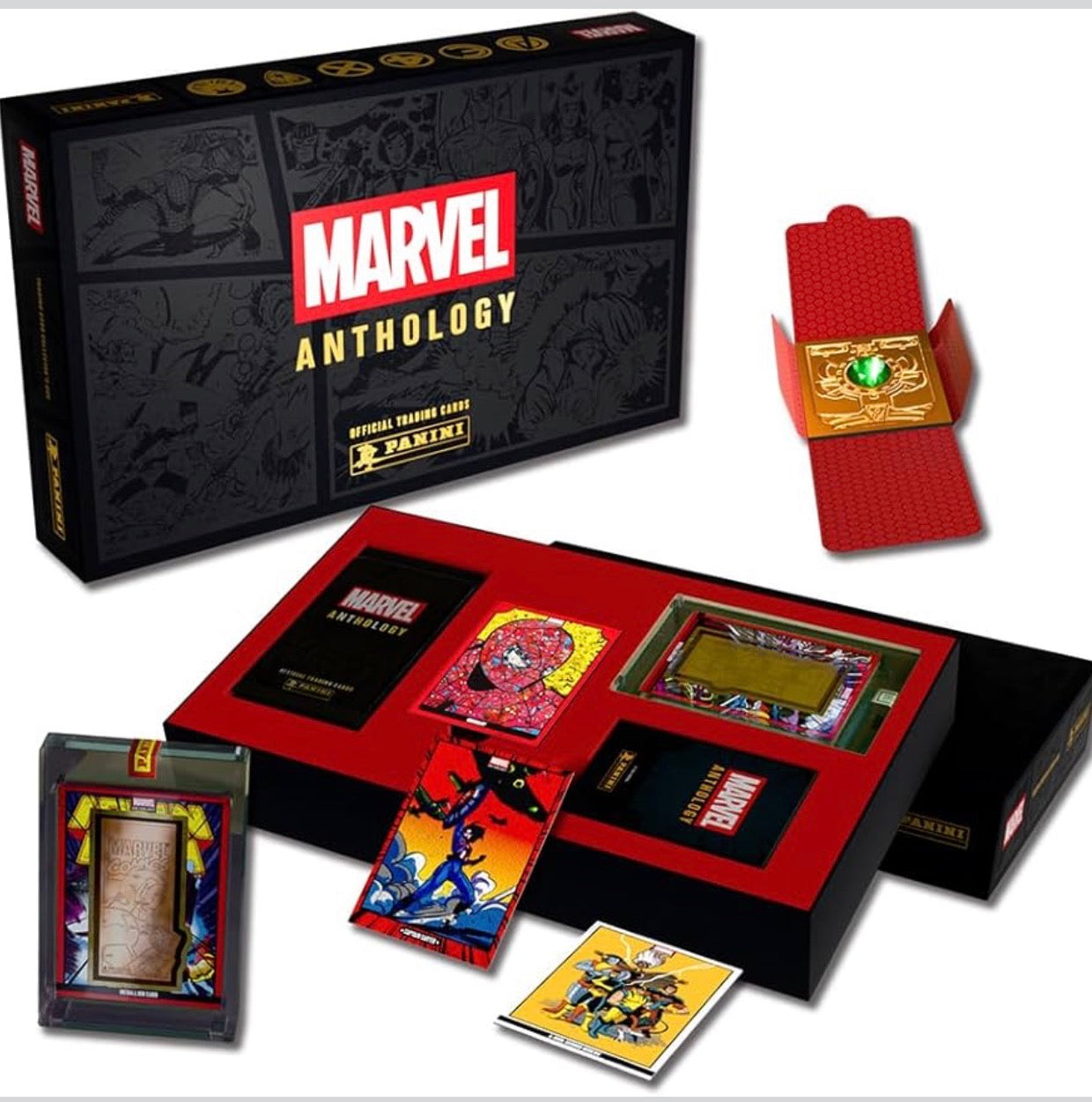 Panini Marvel Anthology Treasure Box