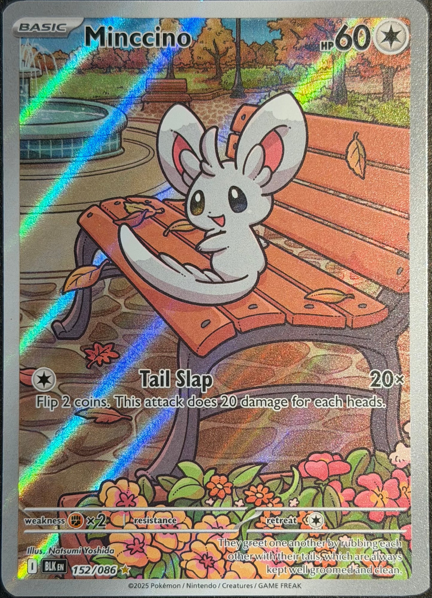 Minccino 152/086 Illustration Rare Black Bolt
