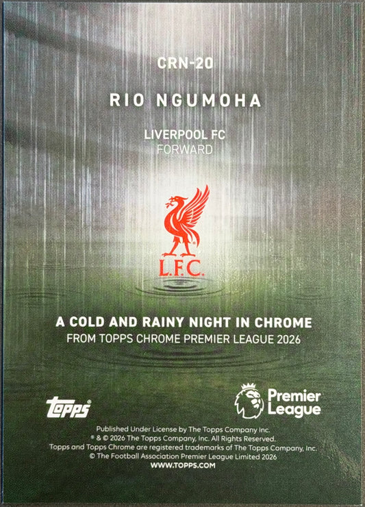 Rio Ngumoha CRN-20 A Cold And Rainy Night In Chrome (case hit)