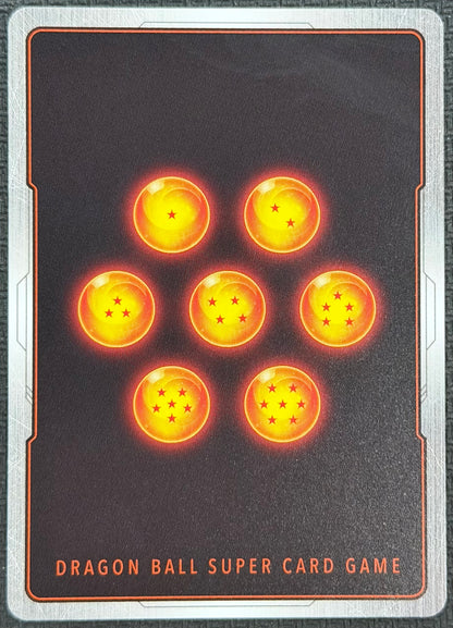 Dual Evolution Warrior Who Defeats The Evil Demon SR Super Rare Alternate Art FB09-096 Japanese