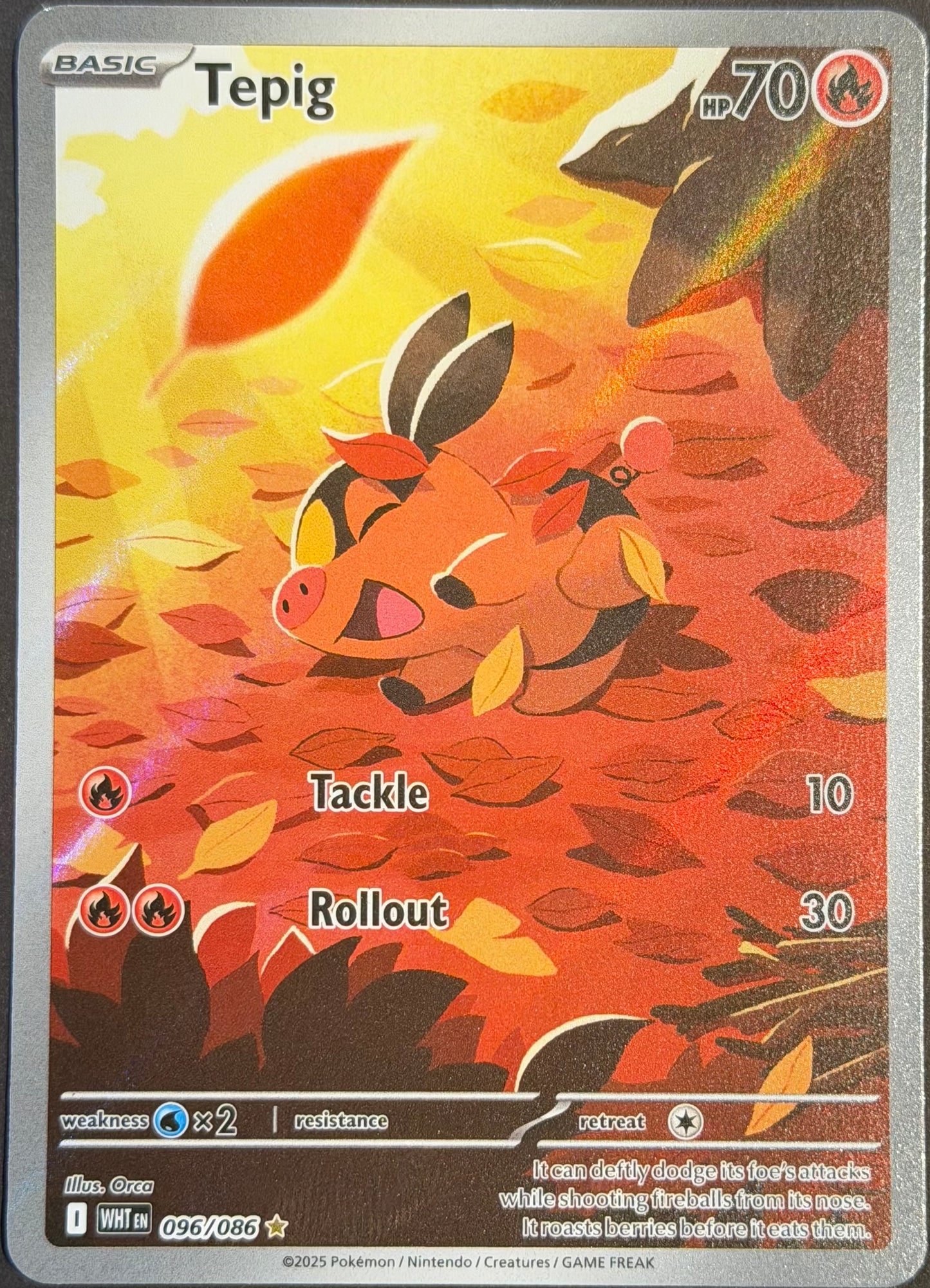 Tepig 096/086 Illustration Rare English White Flare