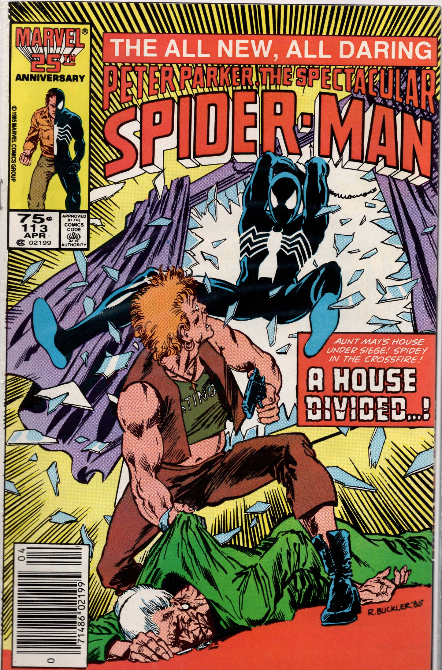 Peter Parker, The Spectacular Spider-Man #113
