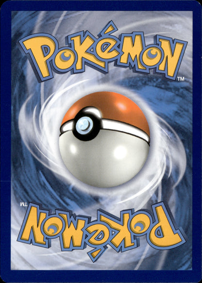 Charizard Vstar SWSH262 Black Star Promo