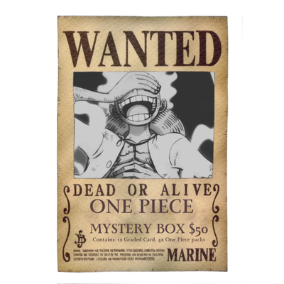 One Piece Mystery Box